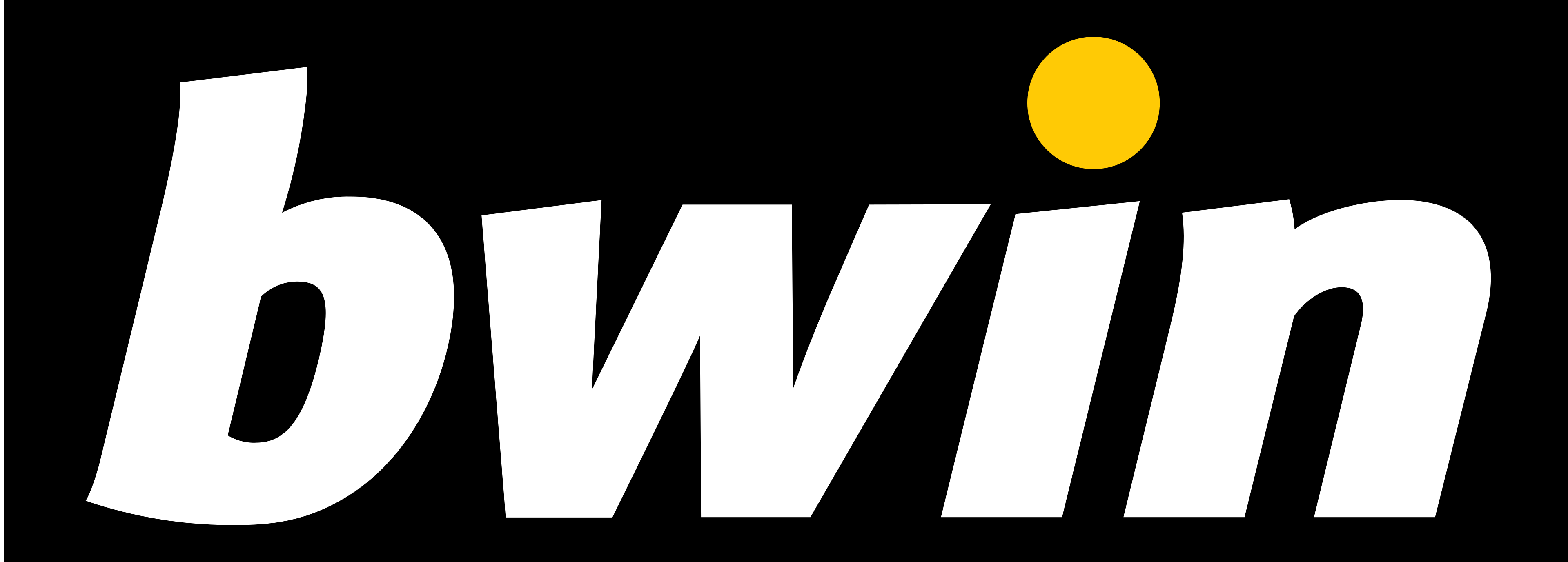 Bwin Casino Schweiz Logo
